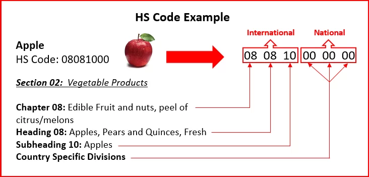 hs-code.webp